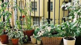 Ban công đẹp, nâng cao vận khí