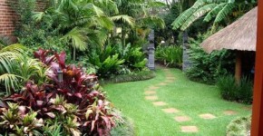 Bạn nên trồng những cây nhỏ và cây bụi, chúng mang lại vẻ đep tự nhiên